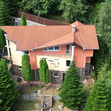 Marble Villa: Luxury Estate - Central But Intimate シナヤ エクステリア 写真