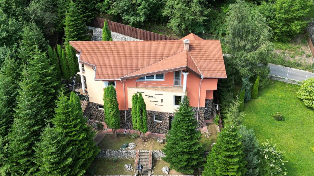 Marble Villa: Luxury Estate - Central But Intimate シナヤ エクステリア 写真